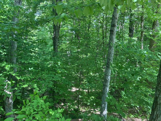 Upper Howes Way, Wilmington VT, 05363 land for sale