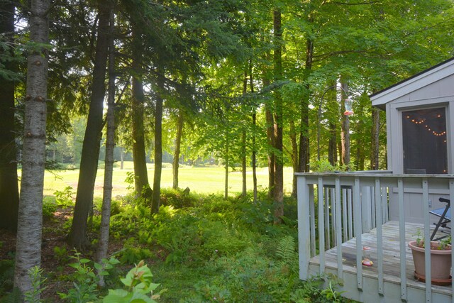 view of yard with a deck