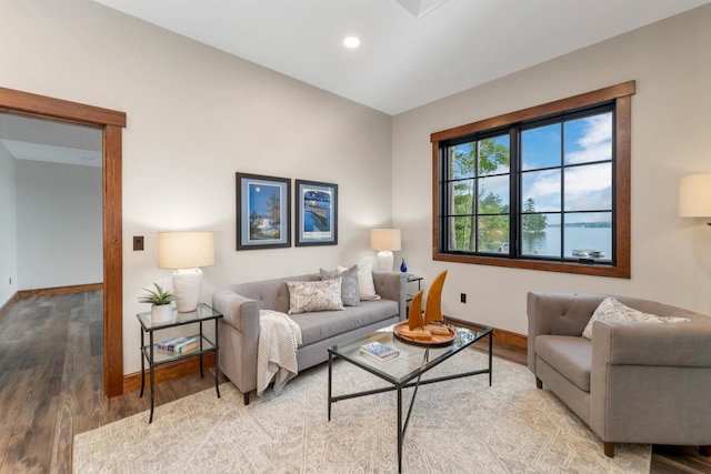 living room featuring hardwood / wood-style flooring