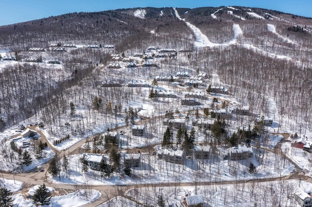 snowy aerial view featuring a mountain view