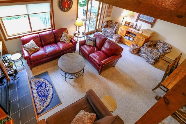 living area featuring carpet flooring