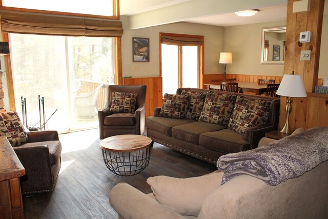 living room featuring hardwood / wood-style floors and a wealth of natural light