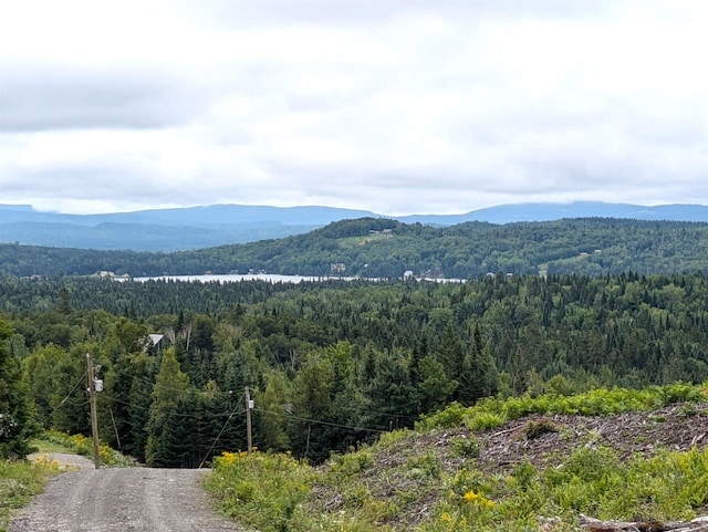 view of mountain feature