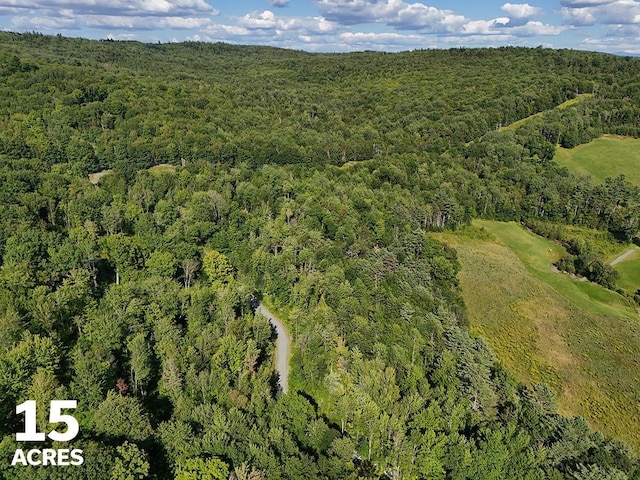 00 Daniels Farm Rd, Waterford VT, 05819 land for sale