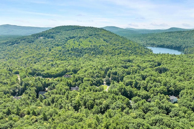 property view of mountains featuring a water view and a wooded view