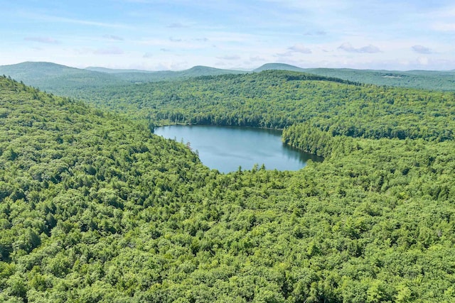 aerial view with a forest view and a water and mountain view