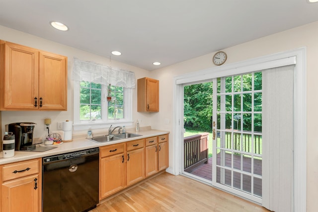 kitchen with light wood-type flooring, black dishwasher, light countertops, and a sink