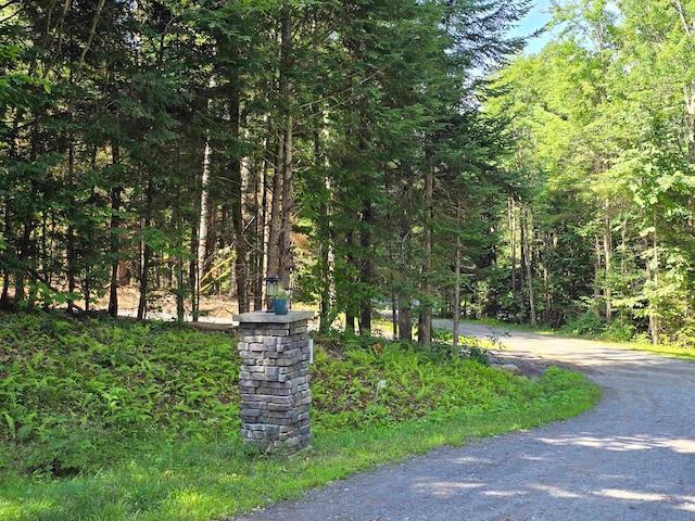 LOT5 Pheasant Runn Rd, Goshen NH, 03782 land for sale