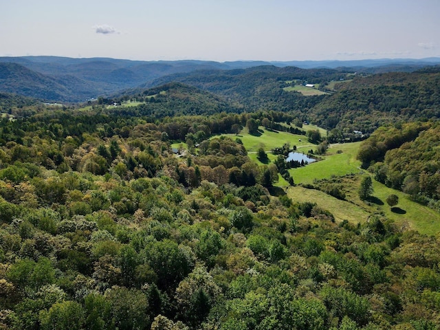 drone / aerial view featuring a water and mountain view and a wooded view