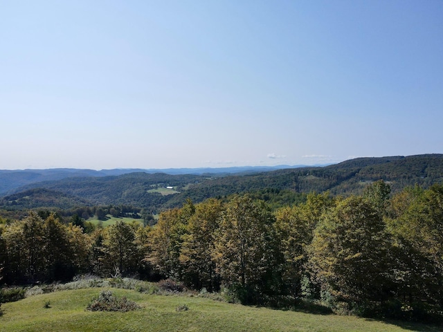 mountain view featuring a wooded view