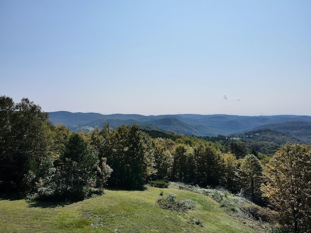 property view of mountains featuring a forest view