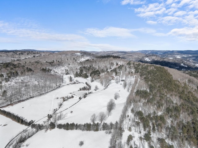 snowy aerial view with a mountain view