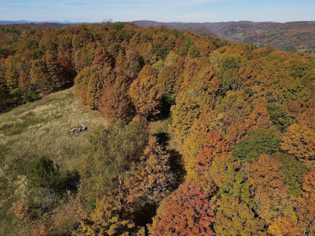 bird's eye view featuring a forest view and a mountain view