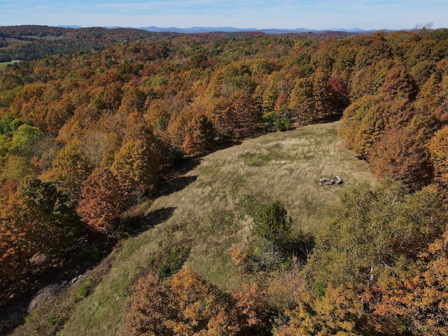 aerial view featuring a mountain view and a wooded view