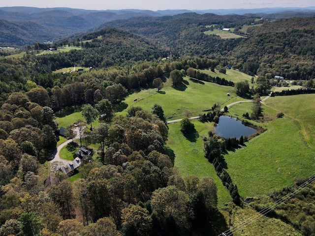 birds eye view of property with a mountain view and a view of trees