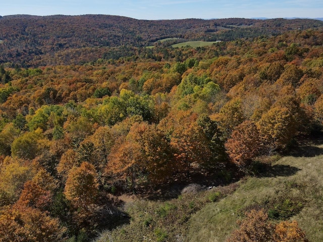 drone / aerial view with a mountain view and a wooded view