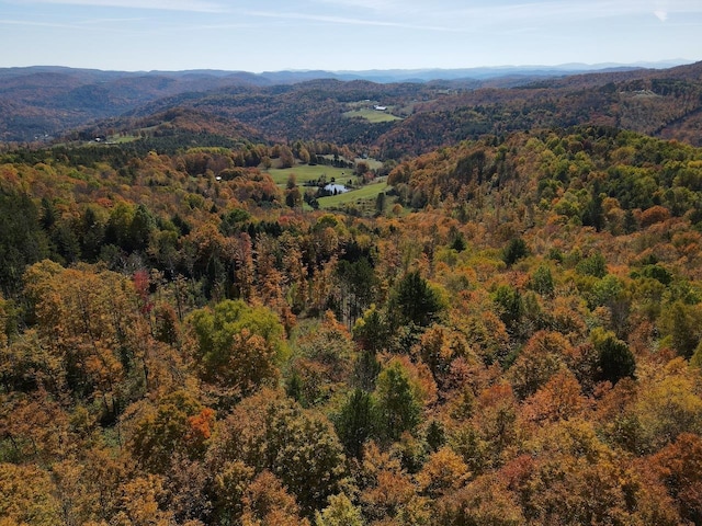 drone / aerial view featuring a mountain view and a view of trees