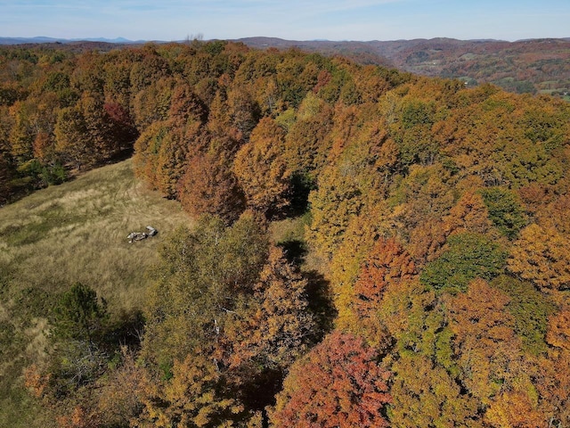 aerial view with a wooded view