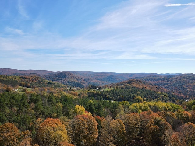 property view of mountains with a wooded view