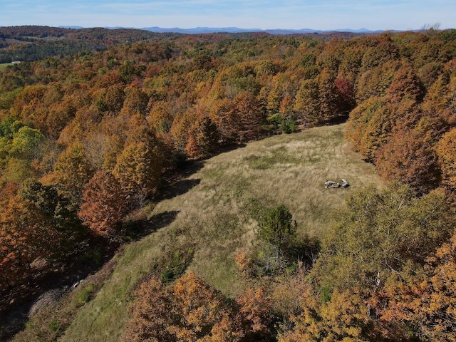 aerial view featuring a forest view and a mountain view