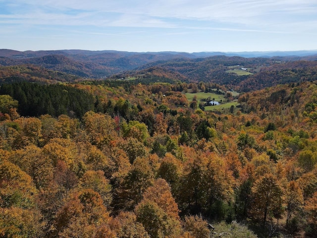 property view of mountains featuring a wooded view