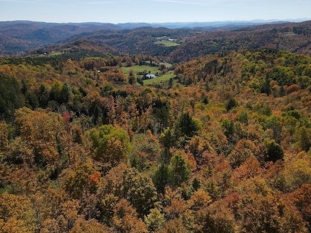 drone / aerial view with a wooded view and a mountain view