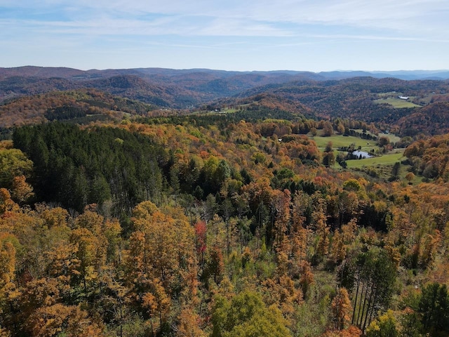 mountain view featuring a forest view