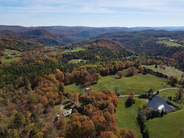 birds eye view of property with a mountain view and a view of trees