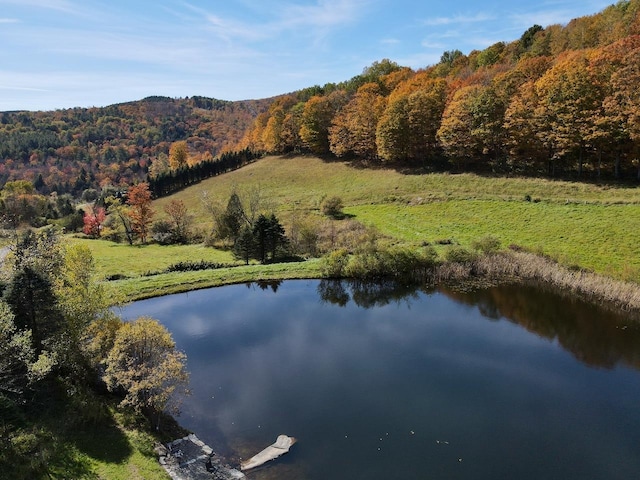 birds eye view of property featuring a water view and a forest view