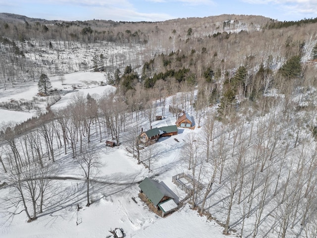 view of snowy aerial view