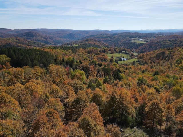 view of mountain feature featuring a forest view