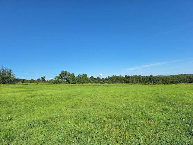 view of local wilderness with a rural view