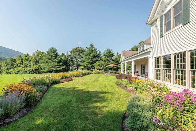 view of yard featuring a patio area