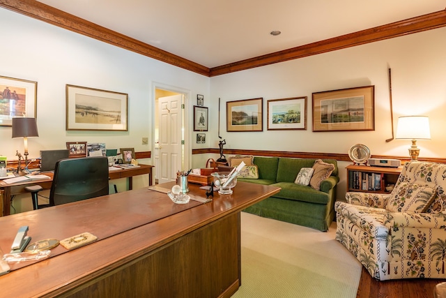 carpeted office space featuring ornamental molding