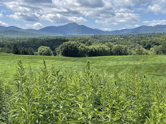 2715 River Rd, Troy VT, 05859 land for sale