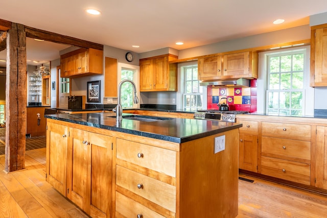 kitchen featuring sink, an island with sink, light hardwood / wood-style flooring, and exhaust hood