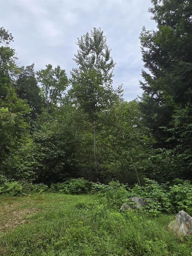 Listing photo 3 for 0 Rocky Ln, Tamworth NH 03886