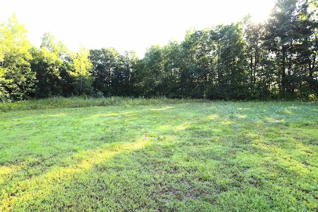 0 Bluff Rd, Newport City VT, 05855 land for sale