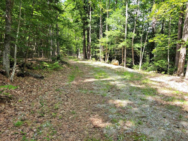 Listing photo 2 for 0 Ridge Rd, Eaton NH 03832