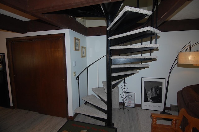 stairs with hardwood / wood-style flooring