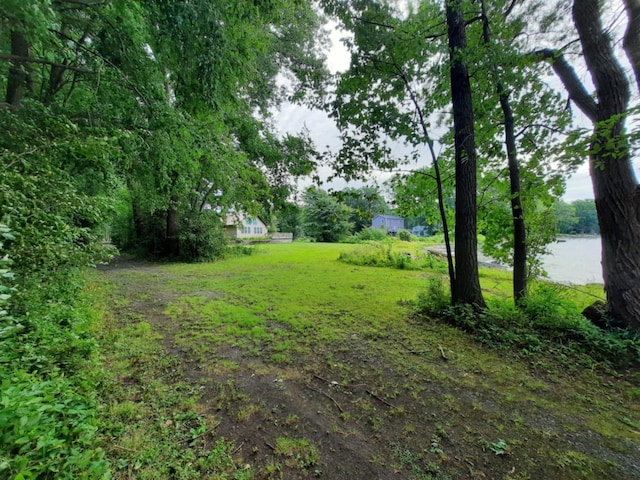 view of yard with a water view