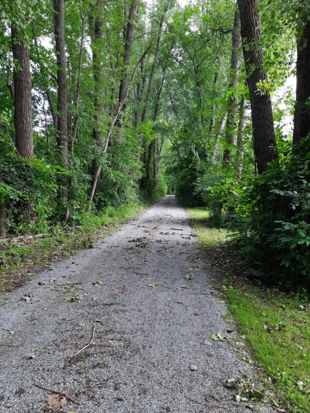 view of street featuring a view of trees