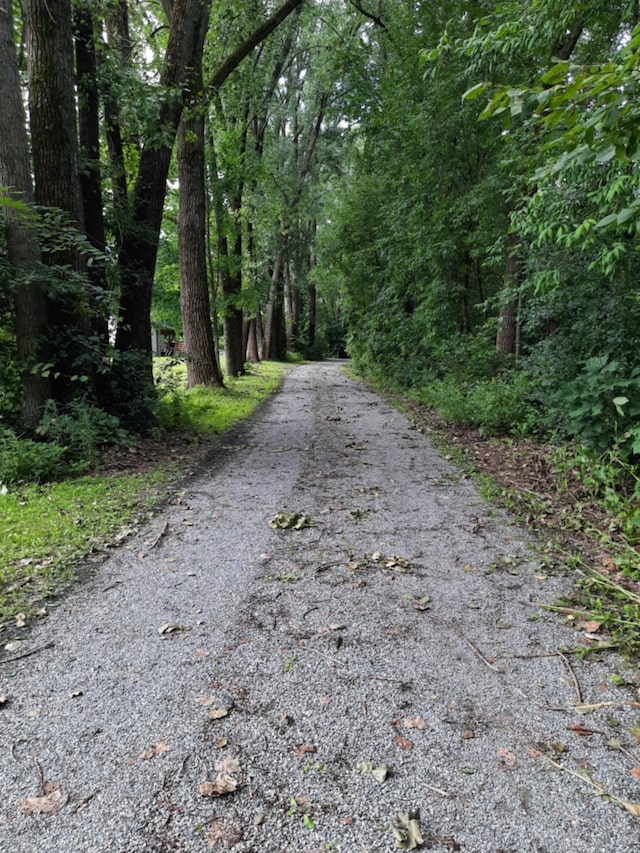 view of street with a forest view