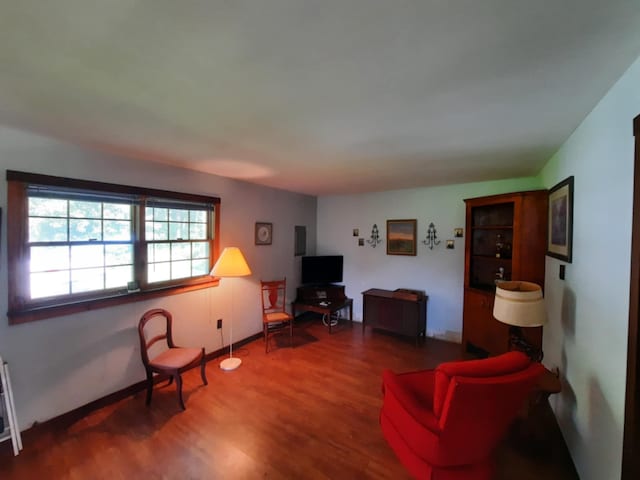 living room with wood finished floors