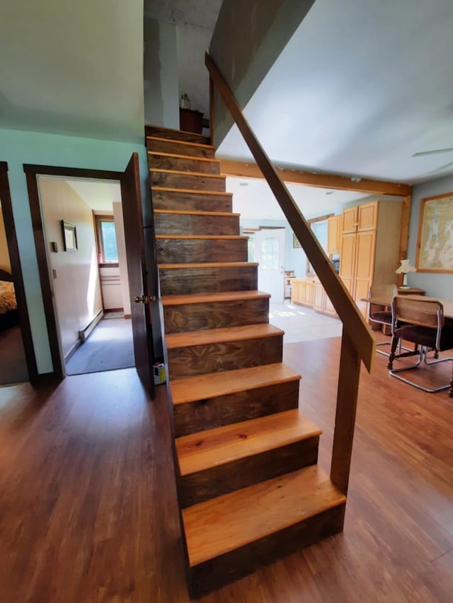 stairway featuring wood finished floors