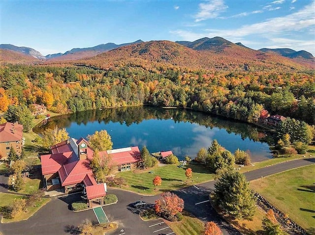 birds eye view of property with a forest view and a water and mountain view