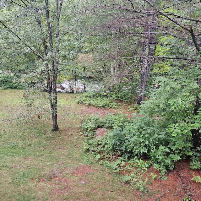 view of yard with a forest view