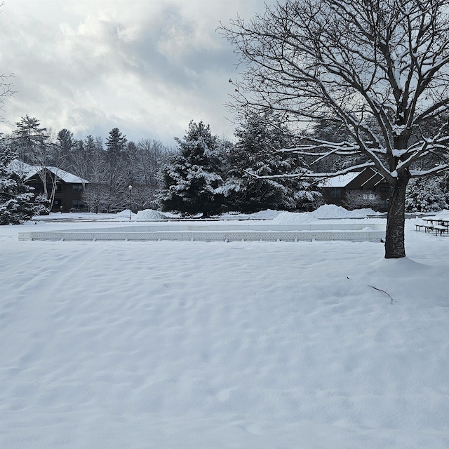 view of yard covered in snow