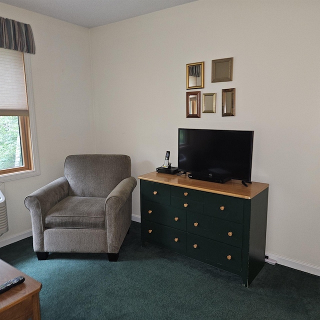 living area featuring dark colored carpet and baseboards