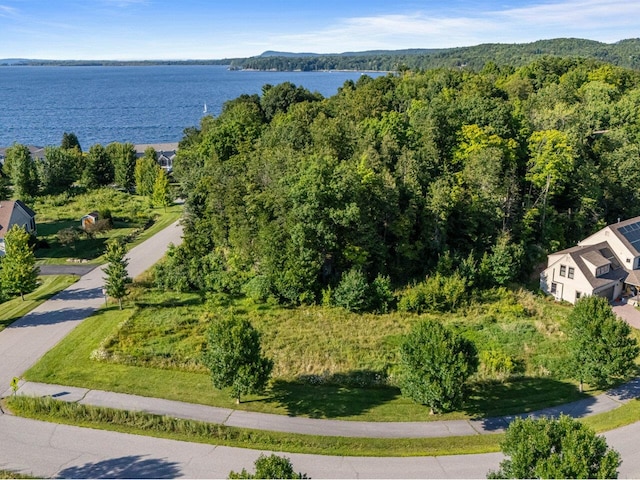 0 Marble Island Rd, Colchester VT, 05446 land for sale